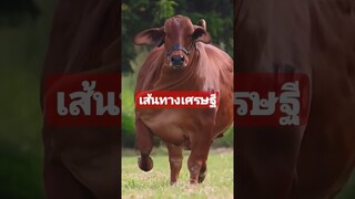 เป็นเศรษฐีชั่วข้ามคืนเพราะเมียตาย #funny #reels #awesome #คลิปตลก