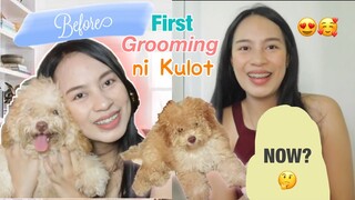 FIRST TIME MAGUPITAN NI KULOT! 😂 | First Grooming Experience | Toy Poodle Ph | Princess Pagaduan