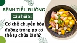 Bệnh tiểu đường: Cơ chế chuyển hóa đường trong phương pháp cơ thể tự chữa lành là như thế nào?