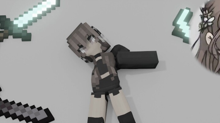 【MC Software】สาวซอฟต์แวร์—— ทดสอบ 1