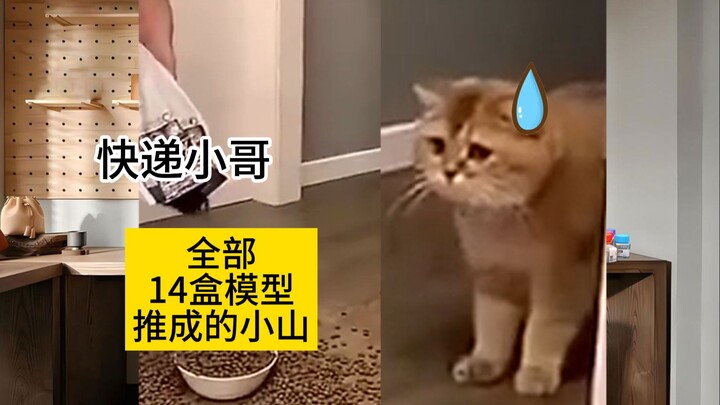 【高达代工日常6】前线任务，来袭！（前线任务篇） | 猫meme