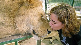 When Animals Showing Love to Human by Their Cute Way