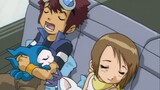 Hoạt hình|Pokémon|Motomiya Daisuke & Yagami Hikari