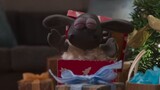 Shaun the Sheep_ The Flight Before Christmas :Watch FULL movie :link in Description