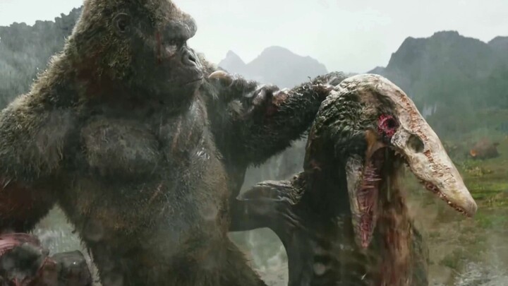 〖4K60 Frames〗 Peak duel! Kong vs. Skull Lizard