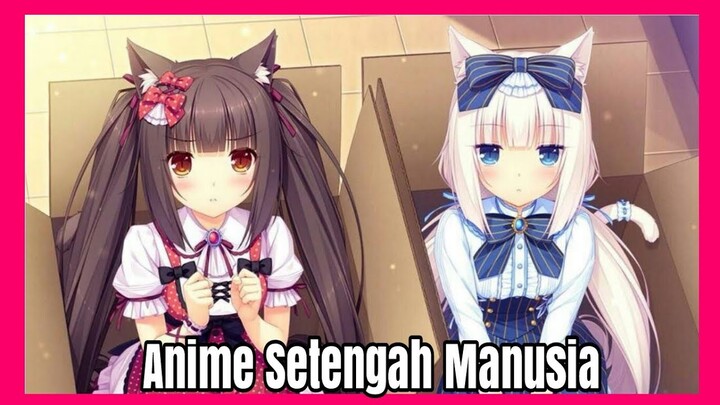 ✅ ANIME GADIS KUPING KUCING BIKIN GEMEZ 7 KELILING!!