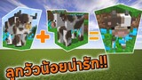 เมื่อ Minecraft มีวัวตัวผู้ตัวเมีย | DDSS EP.2