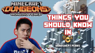 Things You Should Know In Windswept Peaks Minecraft Dungeons