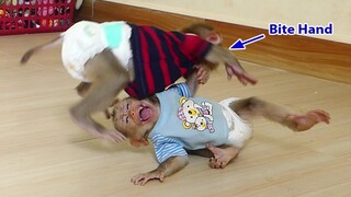 What Happened!! Why Brother Monkey Maki Biting Hand Small Baby Maku Like This?