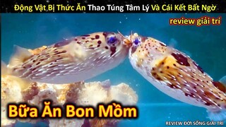 Rái Cá Bị Thao Túng Tâm Lý Và Bữa Tiệc Mukbang Siêu Mlem Trong Bể Bơi || Review Giải Trí Đời Sống