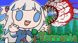 [TERRARIA] terraria with frends