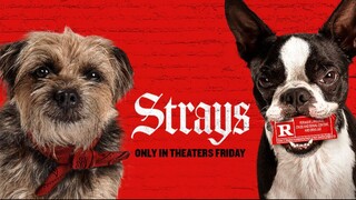 Strays Full movie 2023 | Link in description