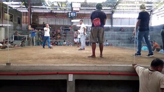 2 hits ulutan CHAMPION 💪 (1st fight)