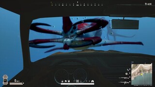 Subnautica Easter Egg in PUBG