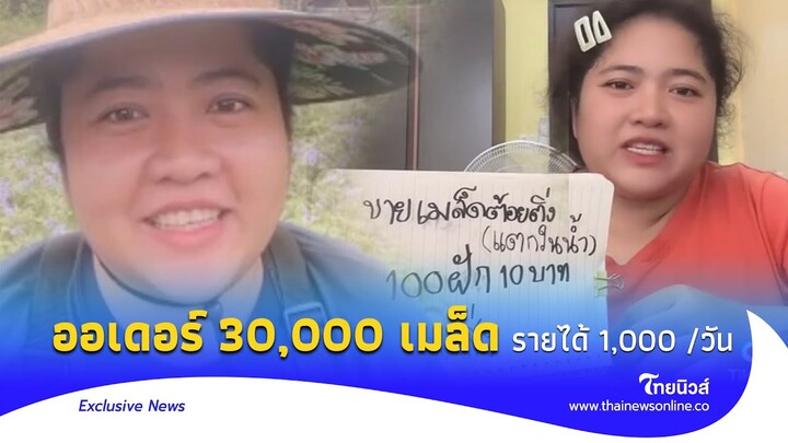 แปลกแต่จริง ขายเมล็ดต้อยติ่ง ออเดอร์ 30,000 เมล็ด ทำเงินสูงสุด 1,000 /วัน|Thainews - ไทยนิวส์|-28-JJ