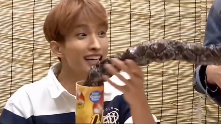 I tried hard not to laugh, but DK's expression... Sorry