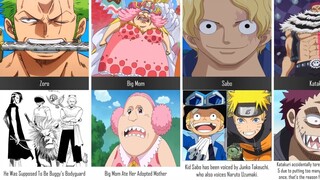 Facts You Probably Did Not Know About One Piece Characters