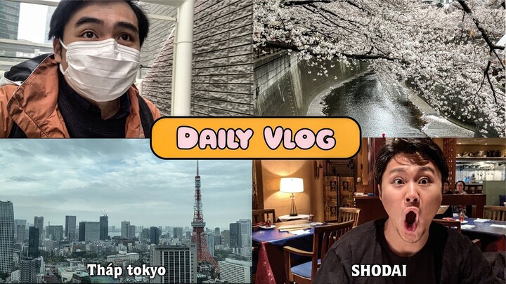 Daily Vlog | MỘT NGÀY LÀM VIỆC MÙA DỊCH 🦠 TẠI NHẬT