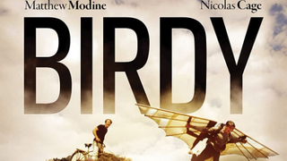 Birdy (1984)