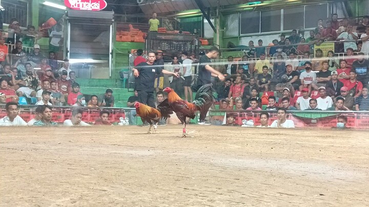 Magaling pareho kaya sabay silang nadedo - 4 stag sa Sta Monica.