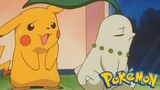 Pokémon Tập 138: Nỗi Buồn Của Chicorita (Lồng Tiếng)