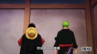 [Idiot] Luffy langsung mengakui bahwa Zoro [tersesat]