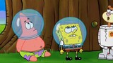 "Why did you dump the 'nuts' in the ocean? SpongeBob"