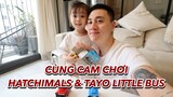 Cùng Cam chơi trứng Hatchimals & Tayo Little Bus | Gia Đình Cam Cam Vlog 91