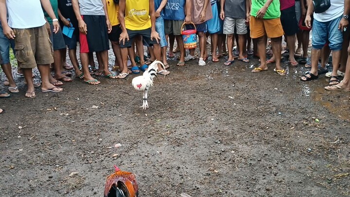 Tumakbo kalaban Patay din sakin