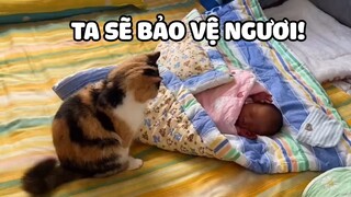 EM BÉ này TRẪM nhìn trúng rồi nha! | Pets TV