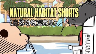 220318《自然动物观察局》- Natural Habitat Shorts