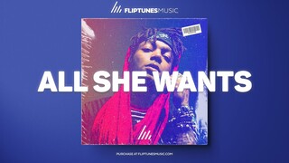 [FREE] "All She Wants" - Metro Boomin x Swae Lee Type Beat | Melodic Rap x Pop Instrumental