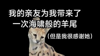 【猫猫meme】我亲友好像治好了我的欲望过度