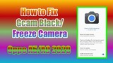 How to fixed black camera in Gcam for Oppo A5/A9 2020