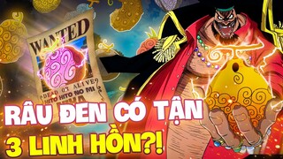 RÂU ĐEN CÓ TẬN 3 NHÂN CÁCH CHO 3 TRÁI ÁC QUỶ?!