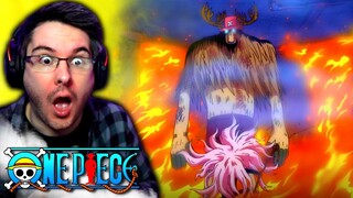 BESERK CHOPPER! | One Piece Episode 293 REACTION | Anime Reaction