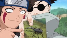 Makanan Favorit Shino Aburame dalam anime Naruto