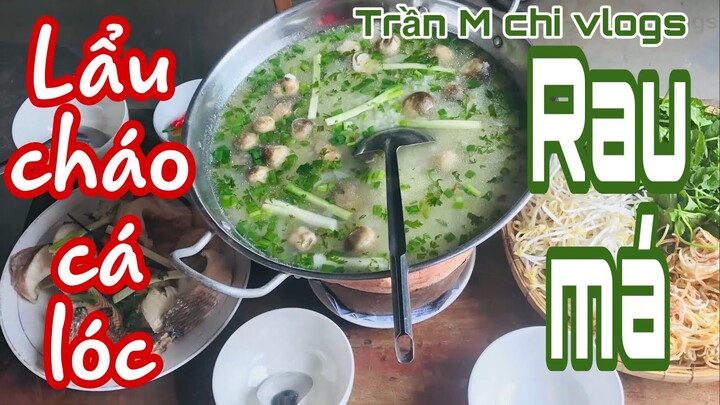 Lẩu cháo cá lóc ngon bá cháy/chi vlogs