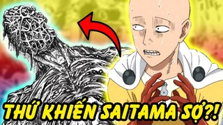 Những Thứ Thật Sự Khiến Saitama Lo Sợ Trong One Punch Man?!