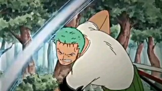 Zoro kena bully