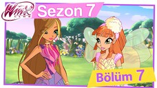 Winx Club - Sezon 7 Bölüm 7 - Kurda Dikkat