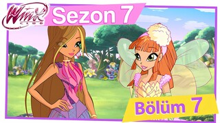 Winx Club - Sezon 7 Bölüm 7 - Kurda Dikkat