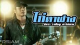 ไก่ตาฟาง : ธันวา ราศีธนู อาร์สยาม [Official MV]