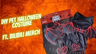 DIY Halloween Pet Costume FT. Bilibili Merchandise 🦇🎃