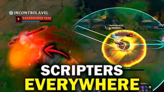 Scripters in LIVESTREAM and Riot is asleep