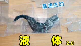 猫绝对是液体！顺着透明水管流进了我家！