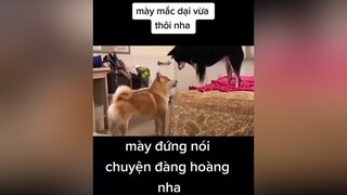 hàihướcvuinhộn hàihuoc hàitiktok giaitriviet24h giaitritiktok giaitri hàihướcvuivẻ xuhuong xuhuongtiktok