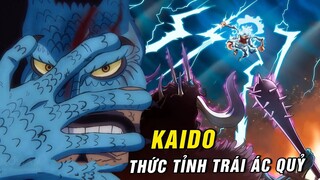 Kaido thức Tỉnh Trái Ác Quỷ chưa ? Băng hải tặc Râu Đen đến Đảo Bánh [ One Piece 1046+ ]