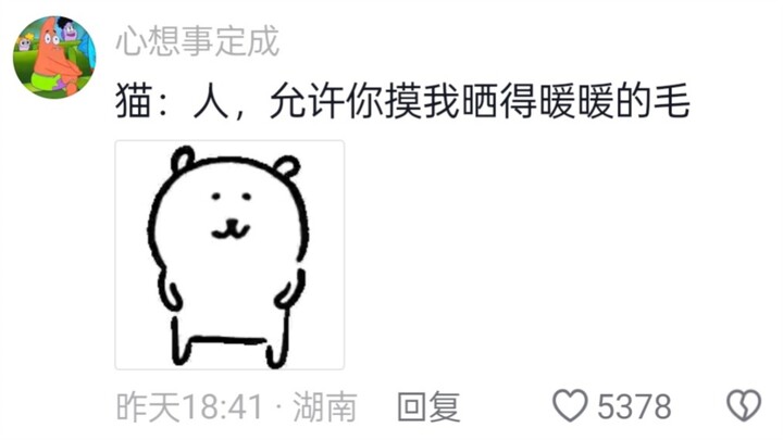 谁敢闻？这是什么金黄色香喷喷牛角包小猫咪？
