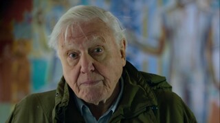 David Attenborough: A Life On Our Planet